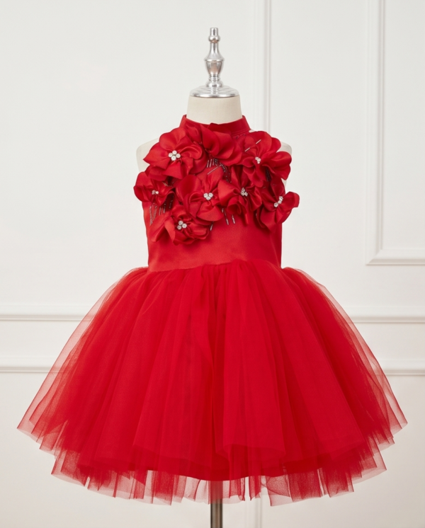 Red Floral Embellished Tulle Ball Gown – Knee-Length