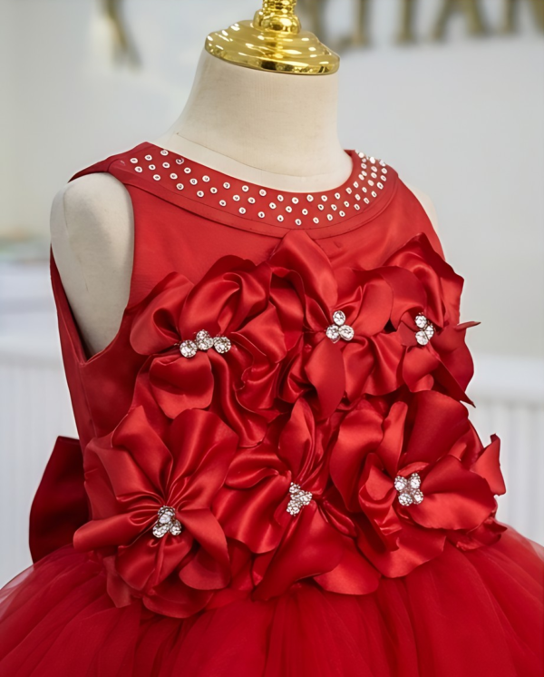 Red Floral Embellished Tulle Ball Gown – Knee-Length
